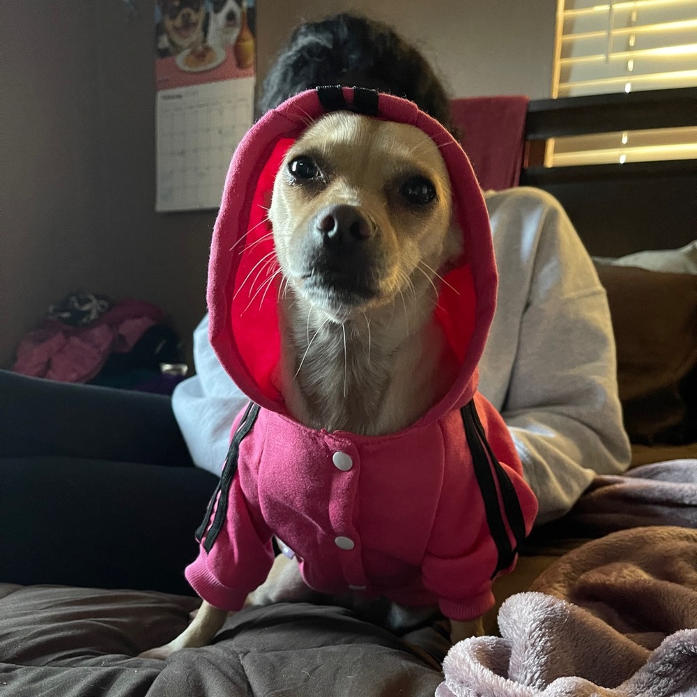 Meet your Posher, Adrian